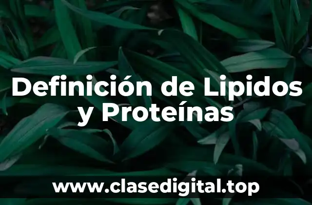 Definición de Lipidos y Proteínas