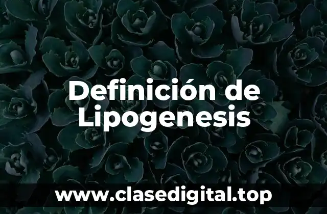 Definición de Lipogenesis