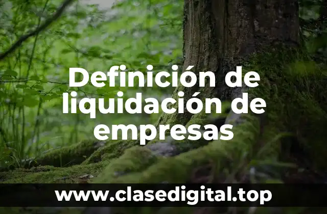 Definición de liquidación de empresas