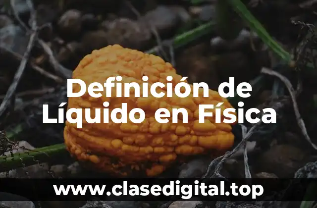Definición de Líquido en Física