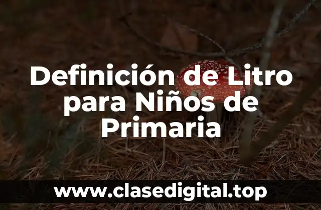 Definición de Litro para Niños de Primaria