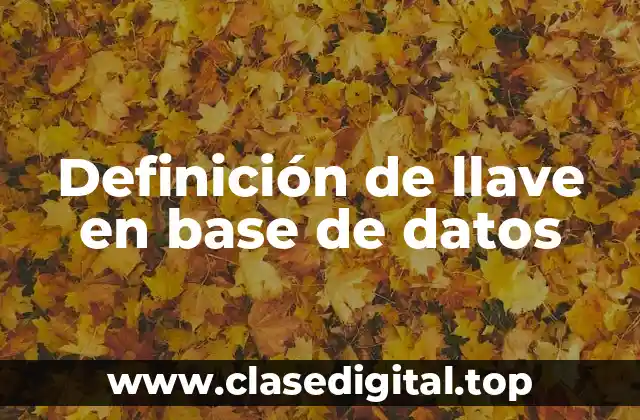 Definición de llave en base de datos