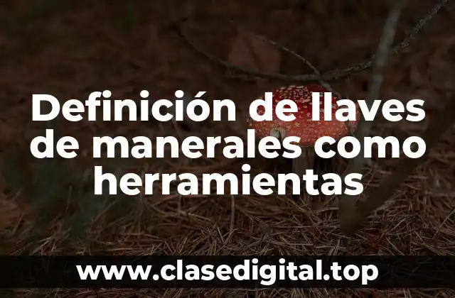 Definición de llaves de manerales como herramientas