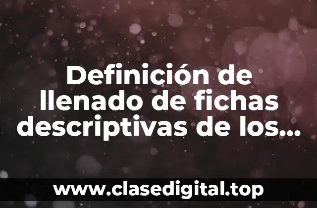 Definición de llenado de fichas descriptivas de los alumnos