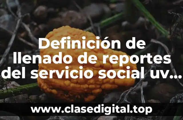 Definición de llenado de reportes del servicio social uv derecho