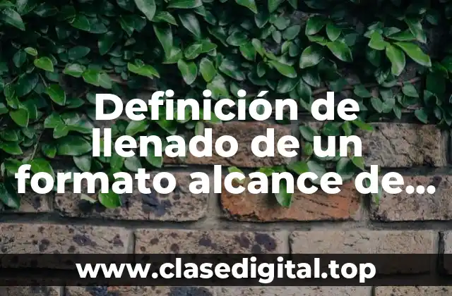 Ejemplos de llenado de un formato alcance de laboratorio