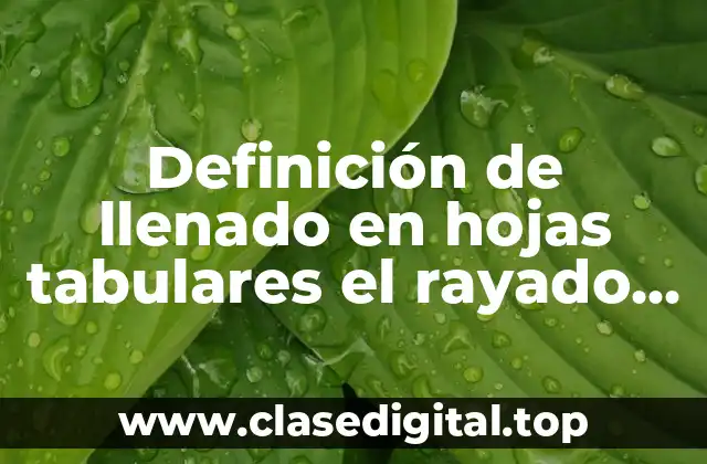 Definición de llenado en hojas tabulares el rayado diario