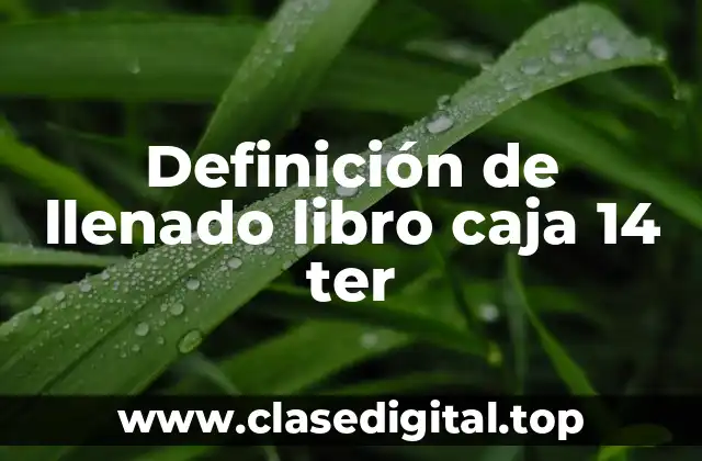 Definición de llenado libro caja 14 ter