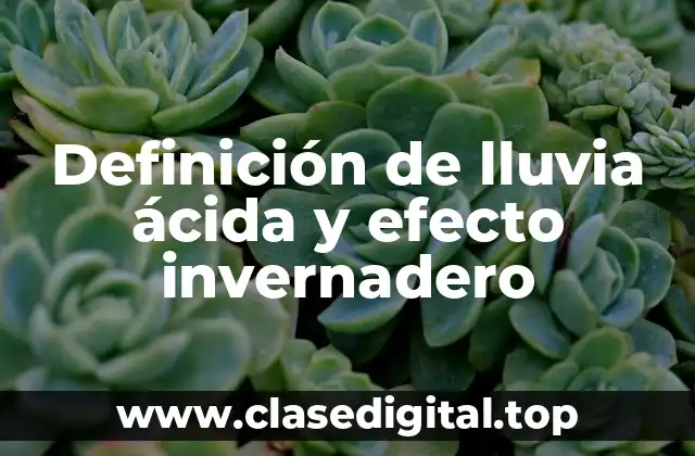 Definición de lluvia ácida y efecto invernadero