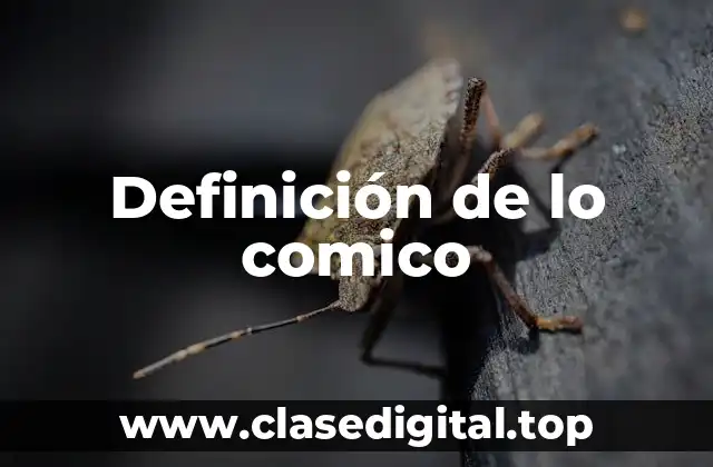 Definición de lo comico