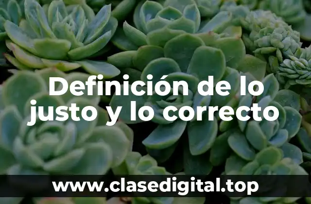 Ejemplos de lo justo y lo correcto