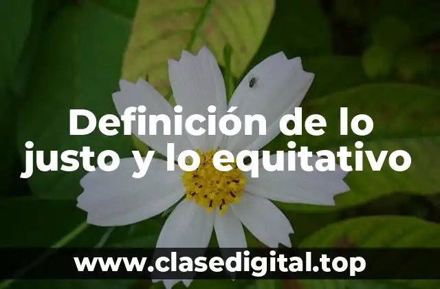 Definición de lo justo y lo equitativo