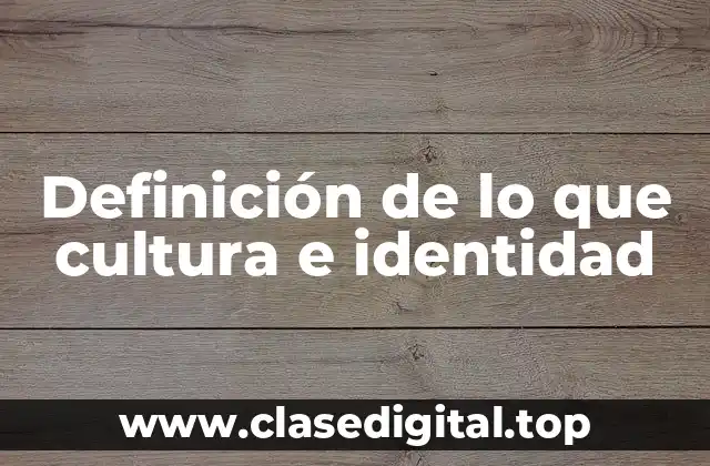 Definición de lo que cultura e identidad
