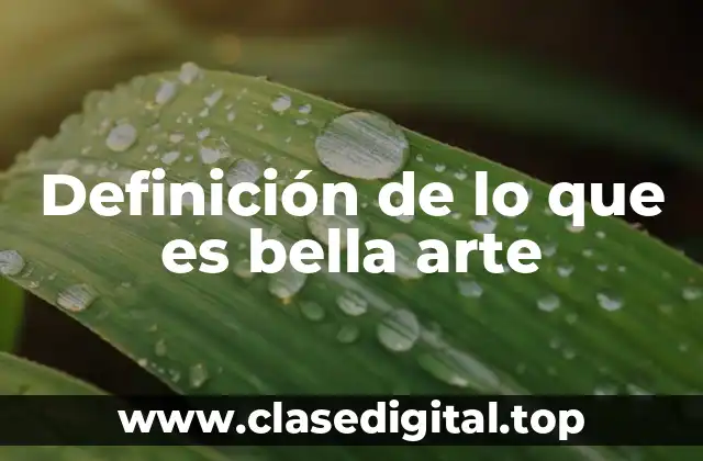 Definición de lo que es bella arte