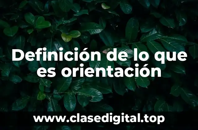 Definición de lo que es orientación