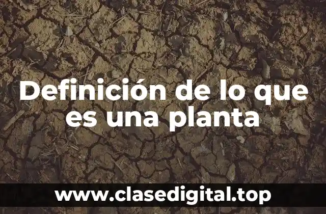 Definición de lo que es una planta