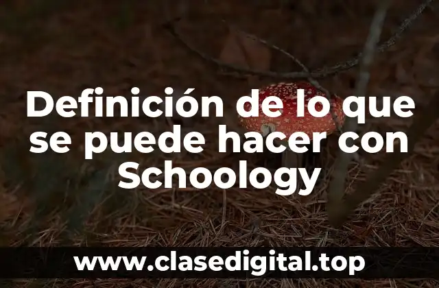 Definición de lo que se puede hacer con Schoology
