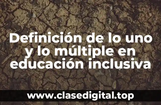 Definición de lo uno y lo múltiple en educación inclusiva