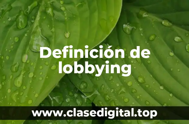 Definición de lobbying