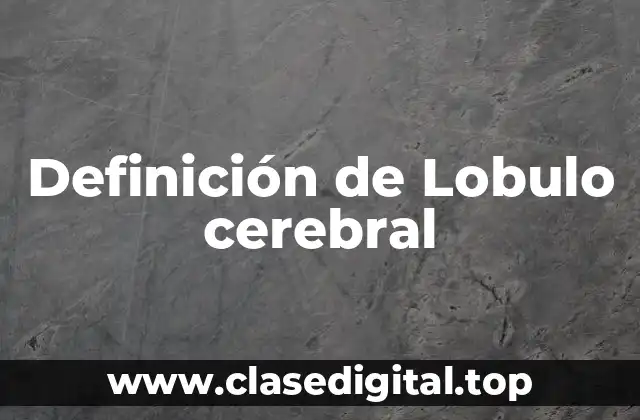 Definición de Lobulo cerebral