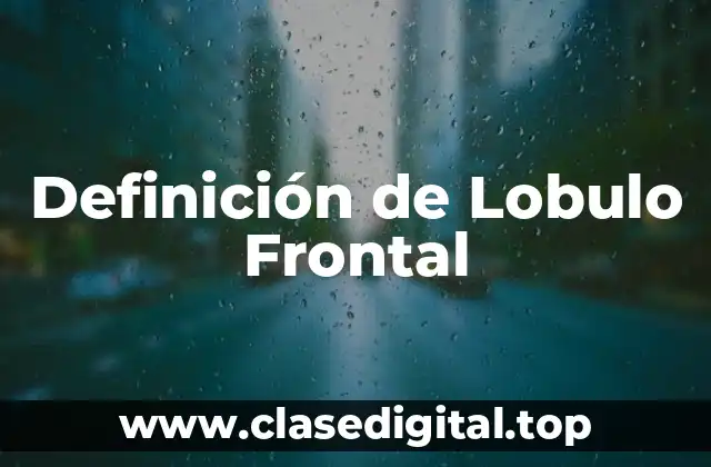 Definición de Lobulo Frontal