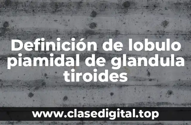 Definición de lobulo piamidal de glandula tiroides