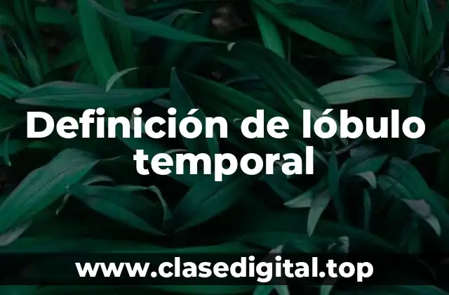 Definición de lóbulo temporal