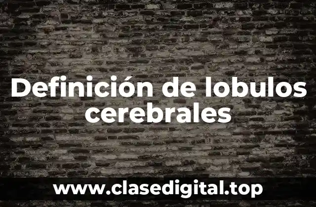 Definición de lobulos cerebrales
