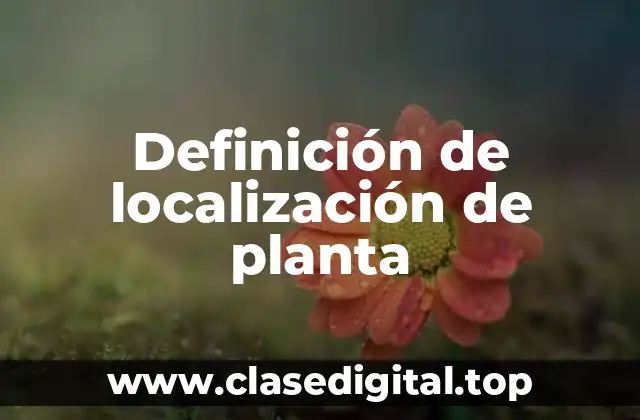 Definición de localización de planta