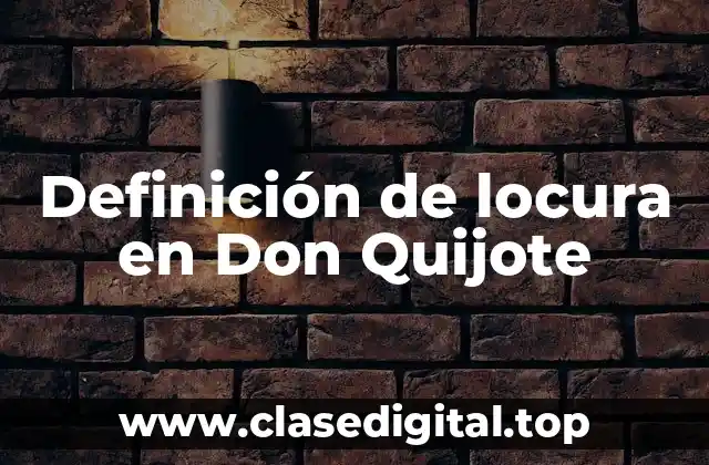 Ejemplos de locura en Don Quijote