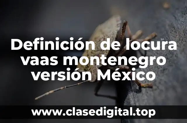 Definición de locura vaas montenegro versión México