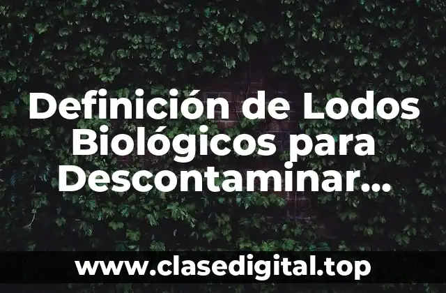 Definición de Lodos Biológicos para Descontaminar Suelo