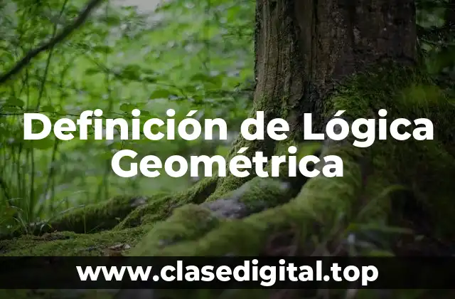 Definición de Lógica Geométrica