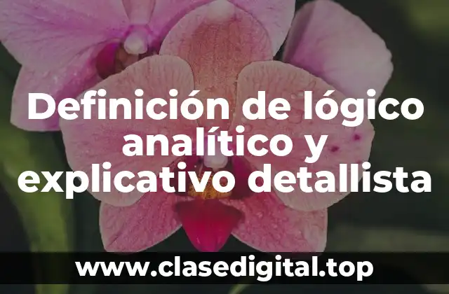 Definición de lógico analítico y explicativo detallista