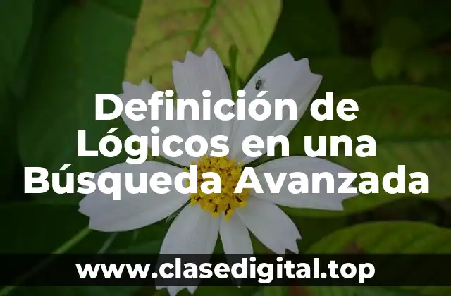 Definición de Lógicos en una Búsqueda Avanzada