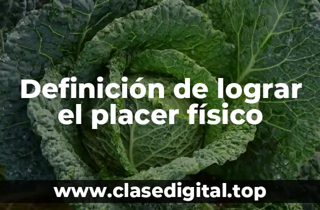 Ejemplos de lograr el placer físico