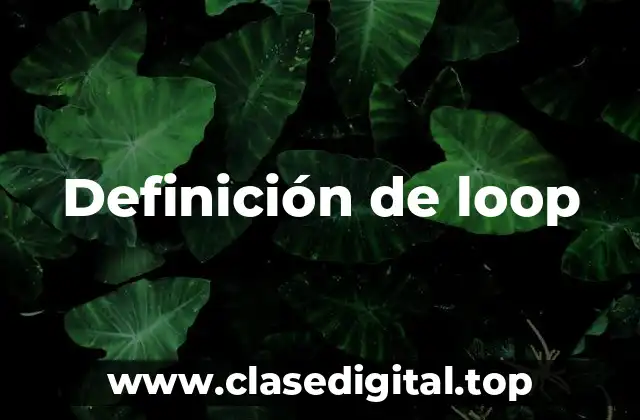 Definición de loop