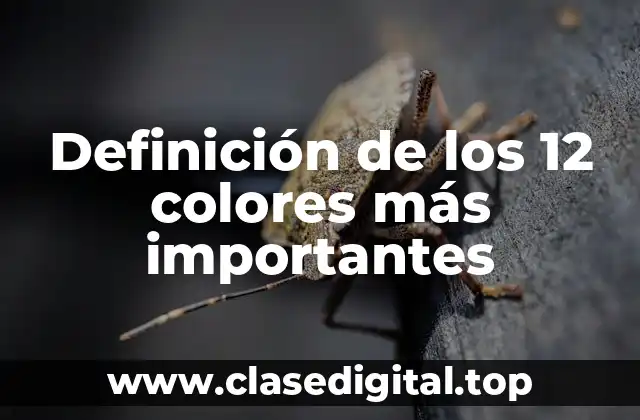 Definición de los 12 colores más importantes