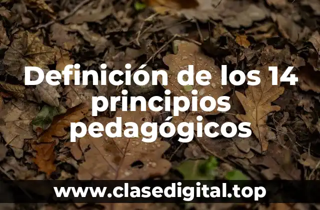Definición de los 14 principios pedagógicos