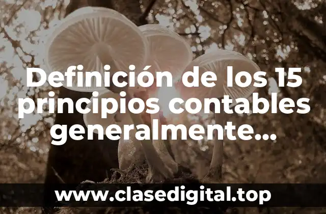Definición de los 15 principios contables generalmente aceptados