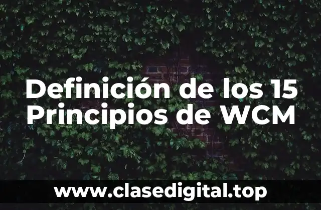 Definición de los 15 Principios de WCM