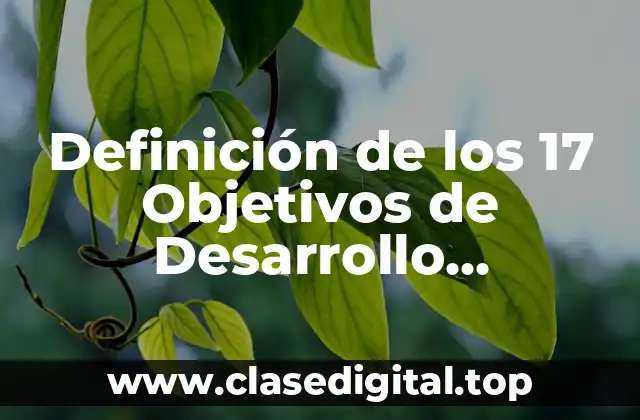 Definición de los 17 Objetivos de Desarrollo Sostenible