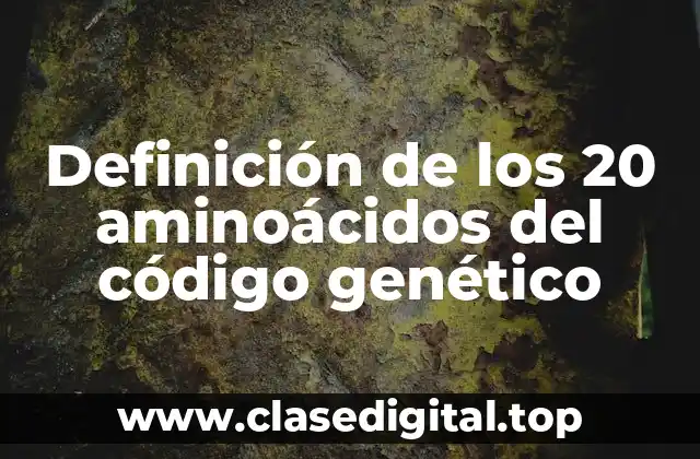 Definición de los 20 aminoácidos del código genético