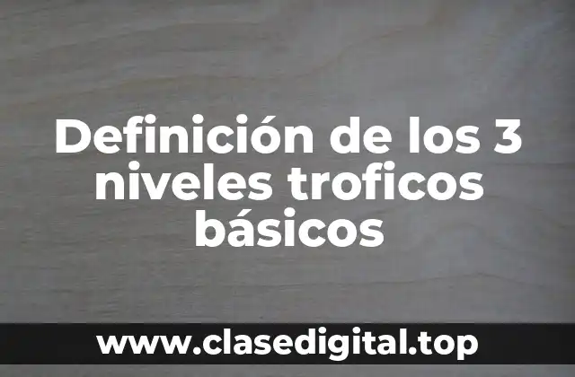 Definición de los 3 niveles troficos básicos