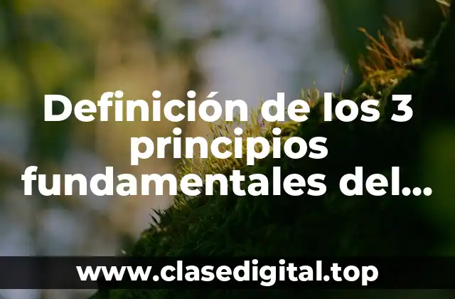 Definición de los 3 principios fundamentales del derecho