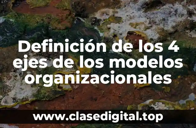 Definición de los 4 ejes de los modelos organizacionales