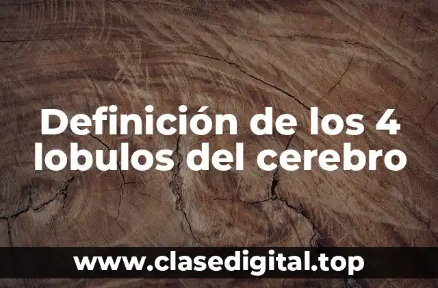 Definición de los 4 lobulos del cerebro