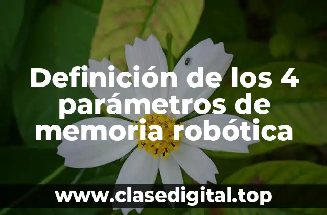 Definición de los 4 parámetros de memoria robótica