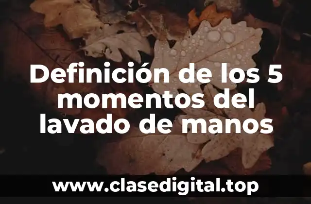 Definición de los 5 momentos del lavado de manos