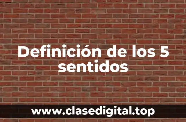 Definición de los 5 sentidos